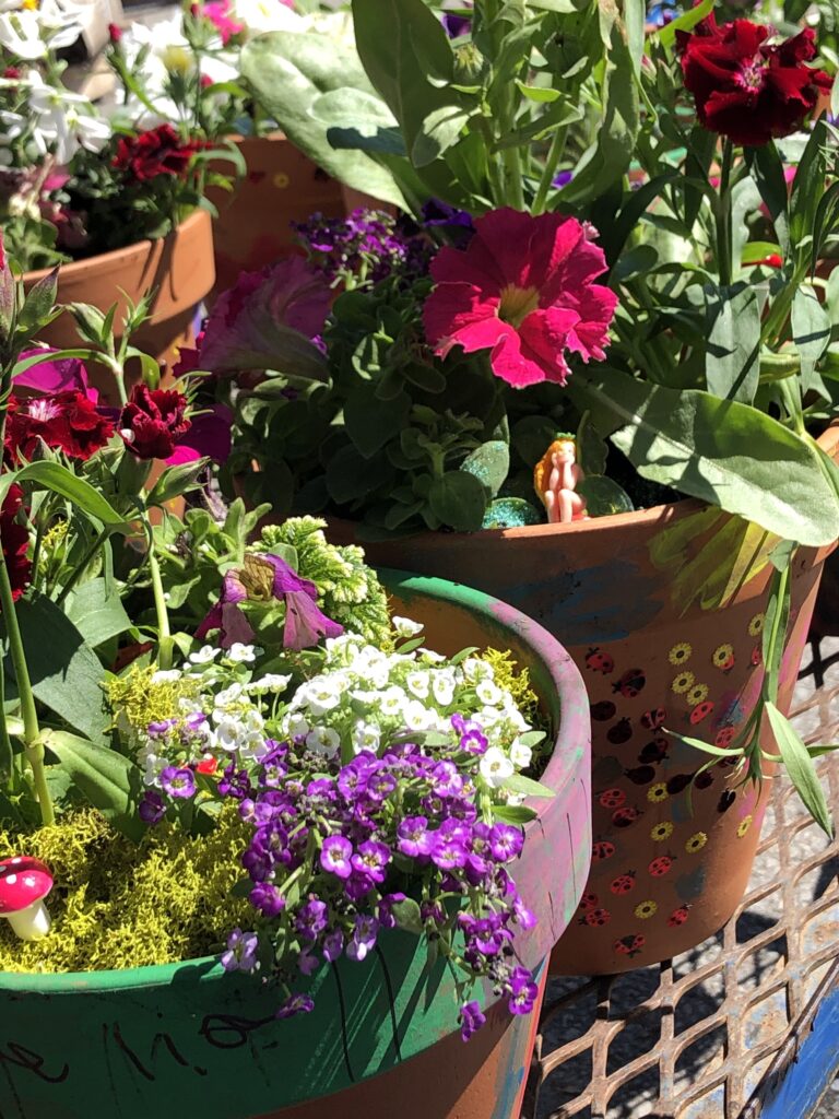 Pots of flowers decorated and planted by kids to make fairy gardens.