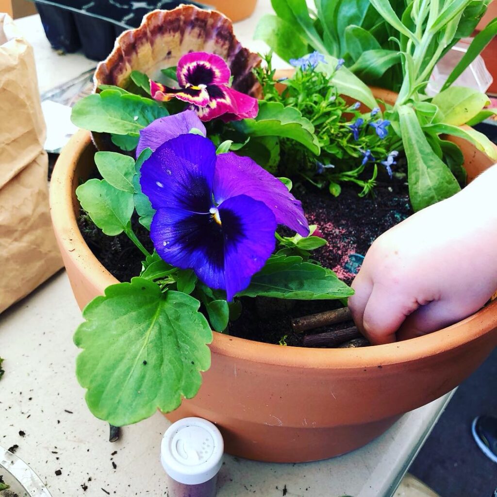 Child planting flowers to make a fairy garden.