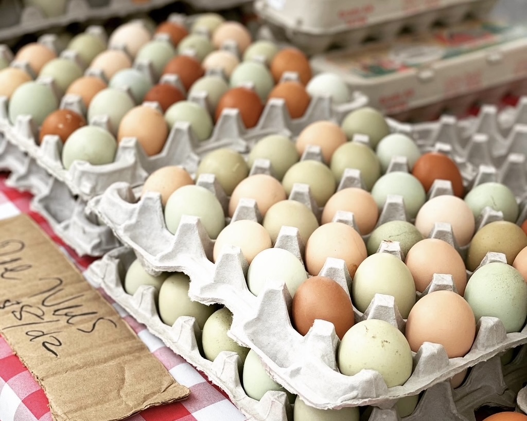 Farm eggs in cartons. A medical doctor explains the safety of eating eggs and chickens, with bird flu on the rise.